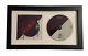 Shinedown Signed x4 Planet Zero Framed CD Authentic Autograph Band JSA COA